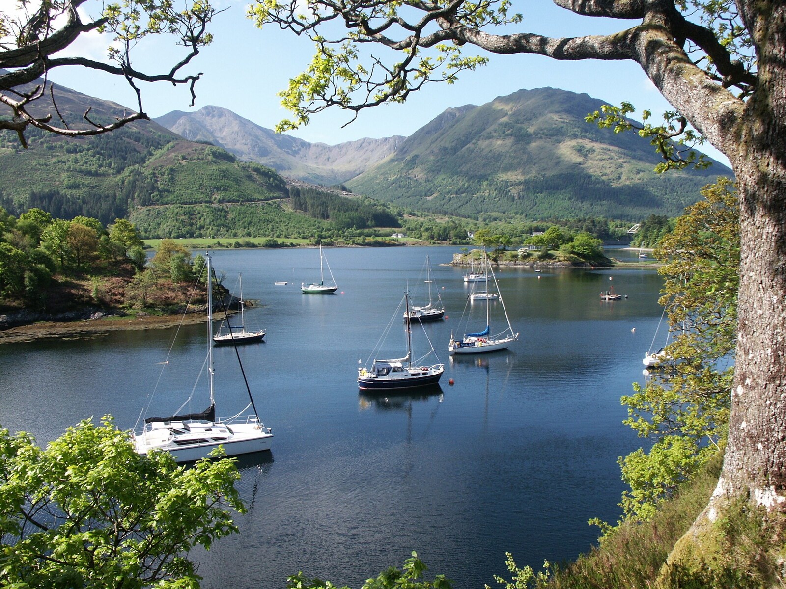 Sailing boats in nearby Bishop's Bay